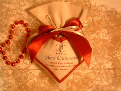 Hotel Catinaccio - Vigo di Fassa