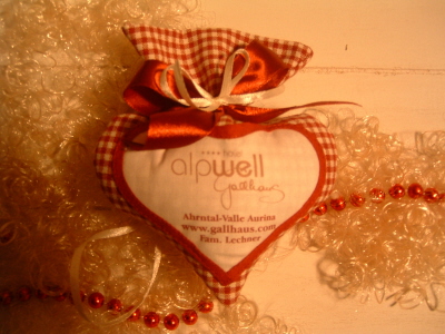 Hotel Alpwell Gallhaus - Ahrntal / Valle Aurina