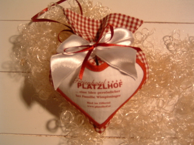 Hotel Platzlhof - Zillertal / 